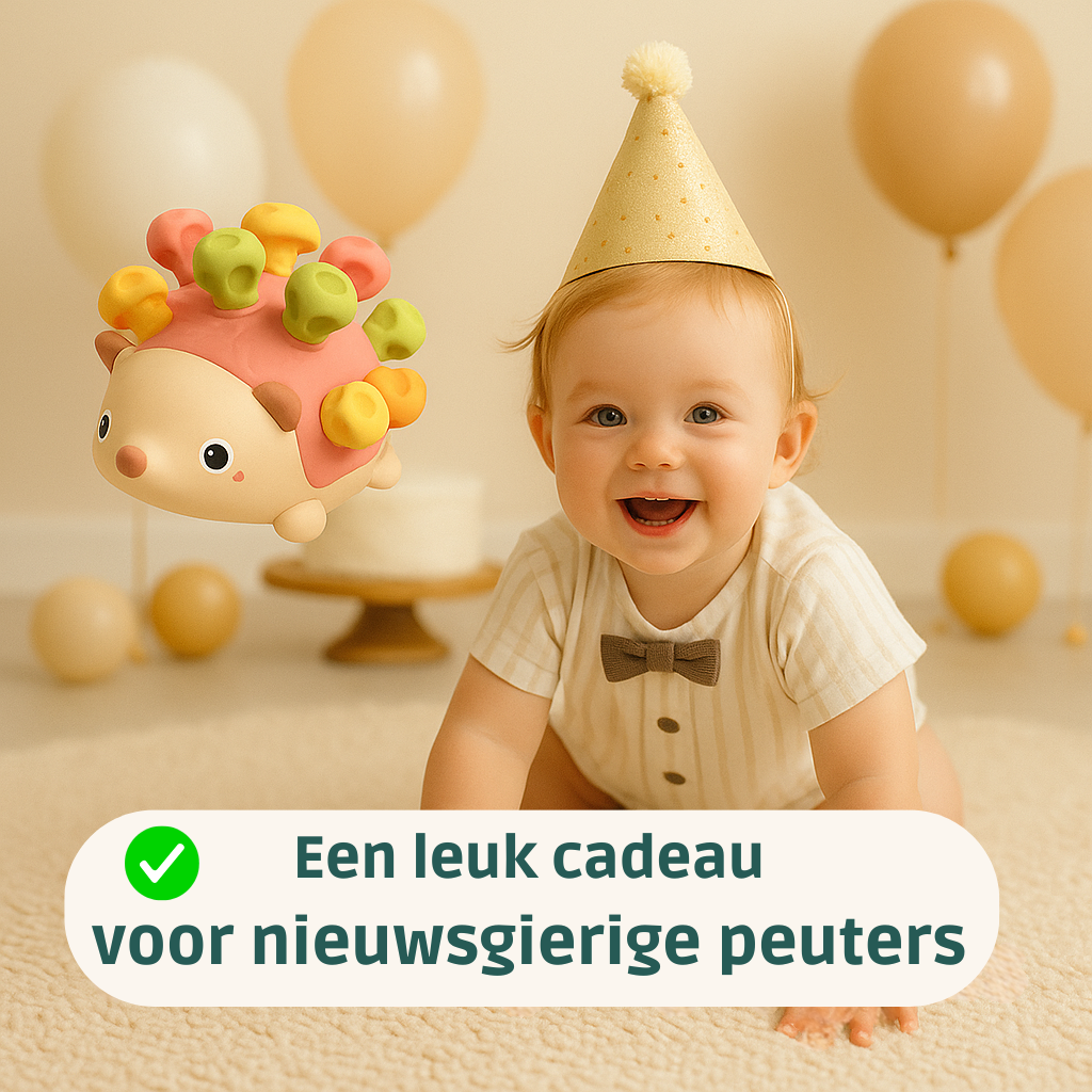 Egel Montessori Roze- Speelgoed 1 jaar- Educatief Speelgoed- Baby Speelgoed
